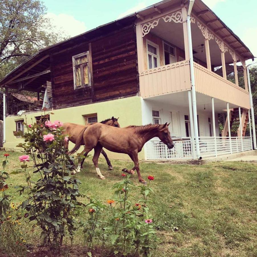 Guest House Lailashi Surmushi Eksteriør bilde